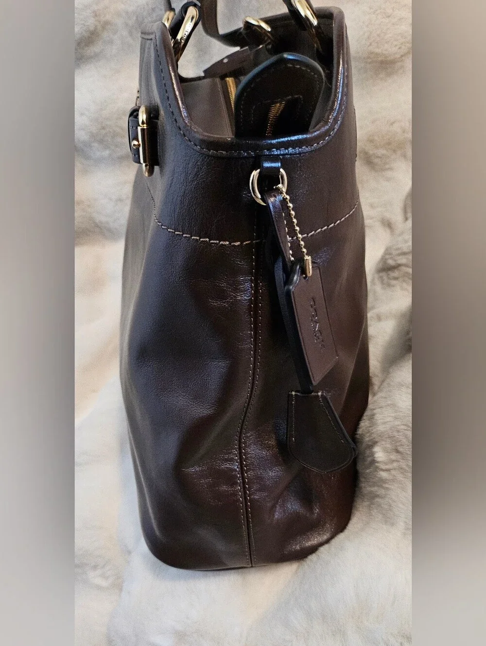 COACH Easton Tote Bag Dark Brown